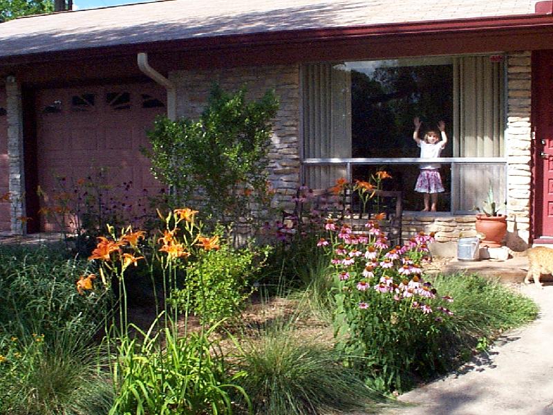 Daylillies, echinacea, and Jordan