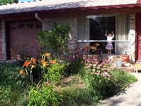 Daylillies, echinacea, and Jordan