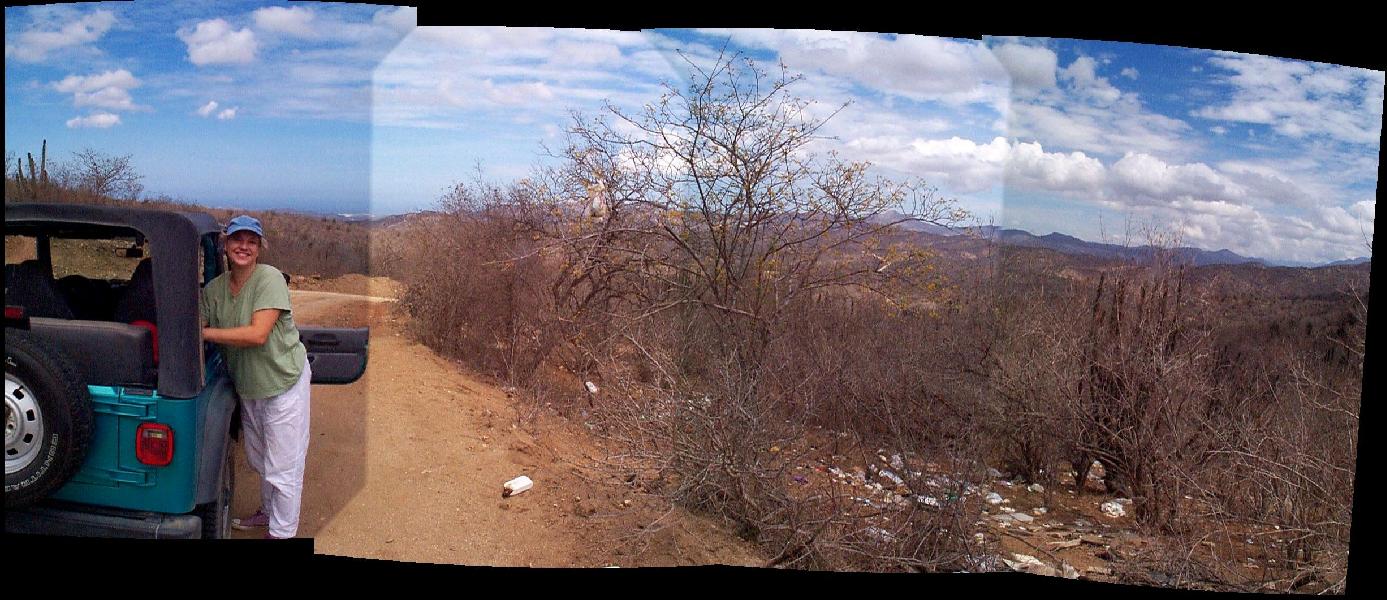 Desert Panorama