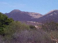 the cemetery above the town