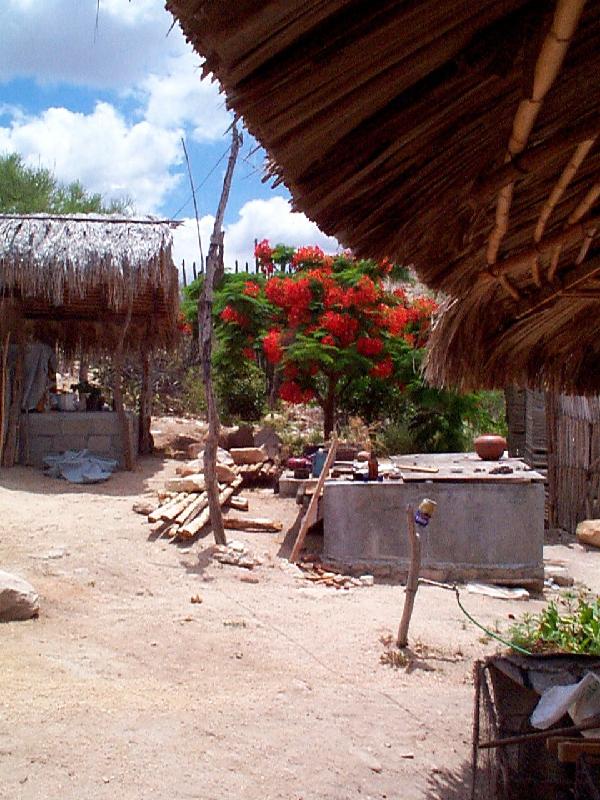 This is her house, her kitchen, her garden
