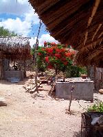 This is her house, her kitchen, her garden