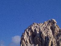 frigate birds on top of the big rock