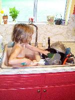 Another night, and a bath in the sink