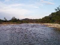 looking upstream
