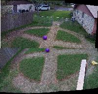 The Whole Garden