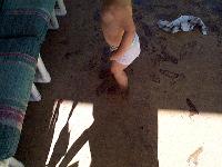 muddy footprints everywhere