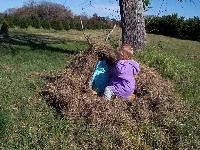 hard to get two big beavers into such a little lodge