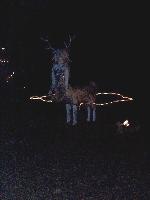 Visiting the lights on West 37th Street - a strange creature