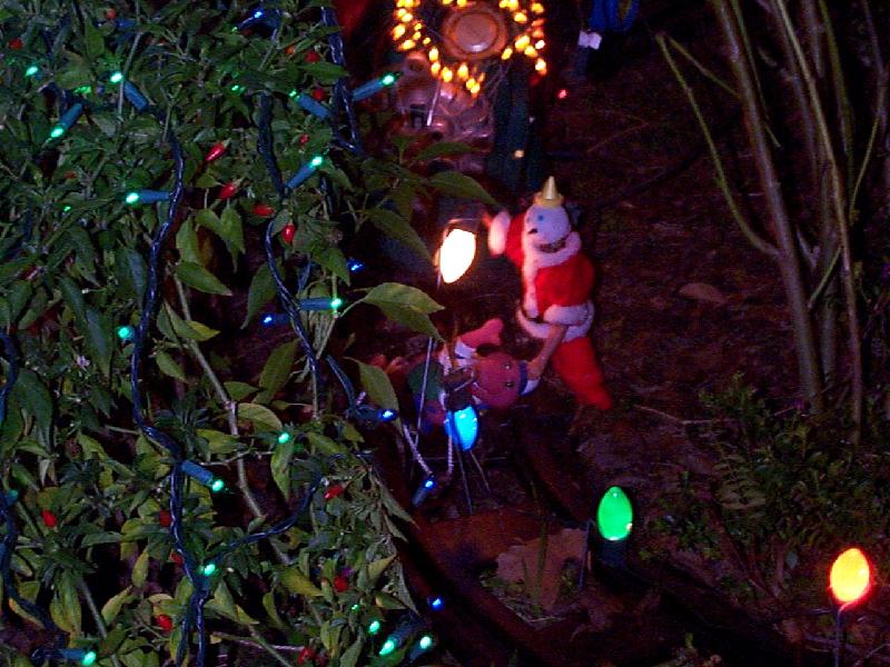 Jack tied Barney to the tracks! Oh No!