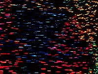 lights a' spinnin'