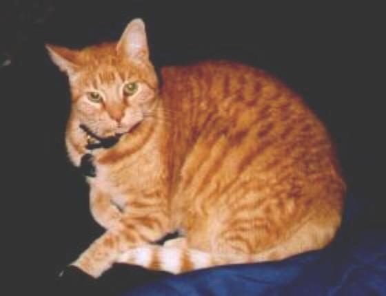 Mao - March 1986 - January 17, 2002 - We'll miss you