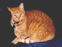 Mao - March 1986 - January 17, 2002 - We'll miss you