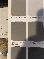 Silver Screen - the new color for the body<br/> 