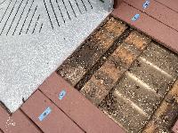 Lots of debris has fallen through the gaps, causing bad drainage. 