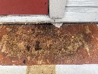 Detail of larger water damaged area 