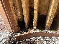 Baseboard is square rubber trim to go around curve. 