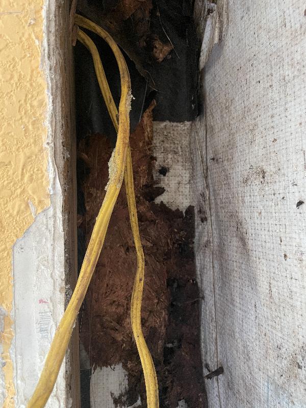 OSB sheathing here completely rotted 