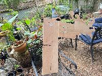 Top piece with branch attached 