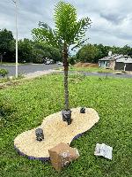 Floating island initial placement<br/><br/>