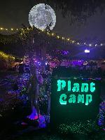 Plant Camp sign 