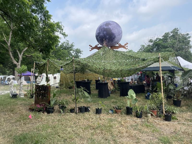 More Plant Camp daytime