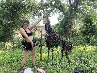 Cool art and the artist 