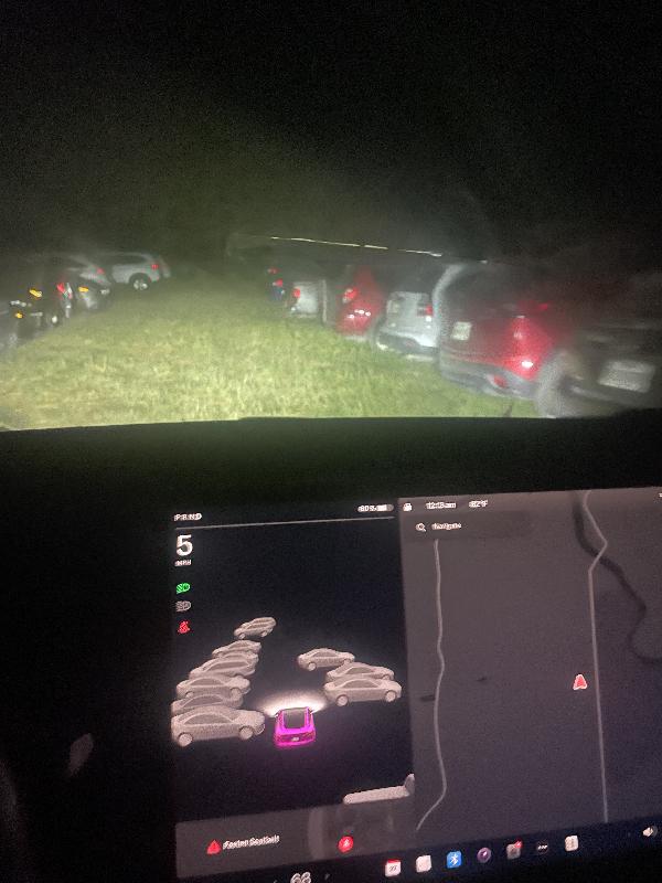 Teslavision on the way out of parking 