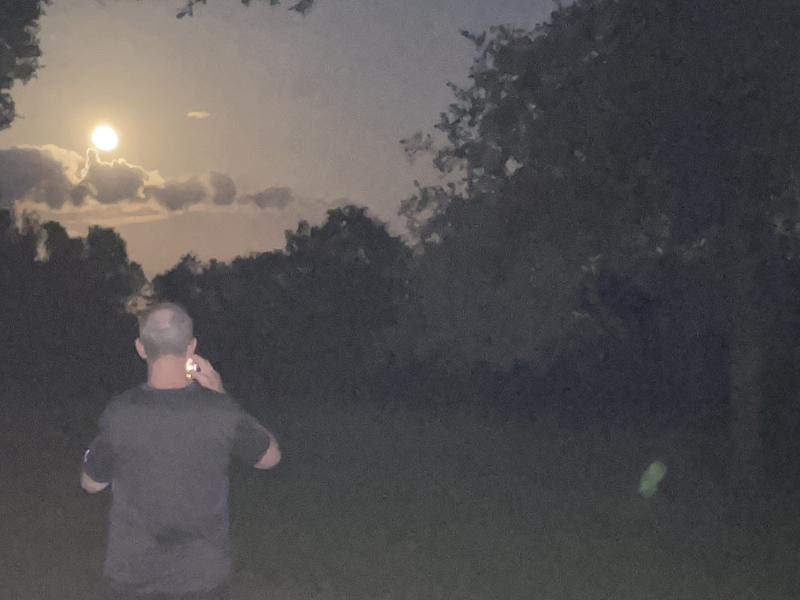 Moonrie over Land Of My Grandfathers, NWTA June 2024 