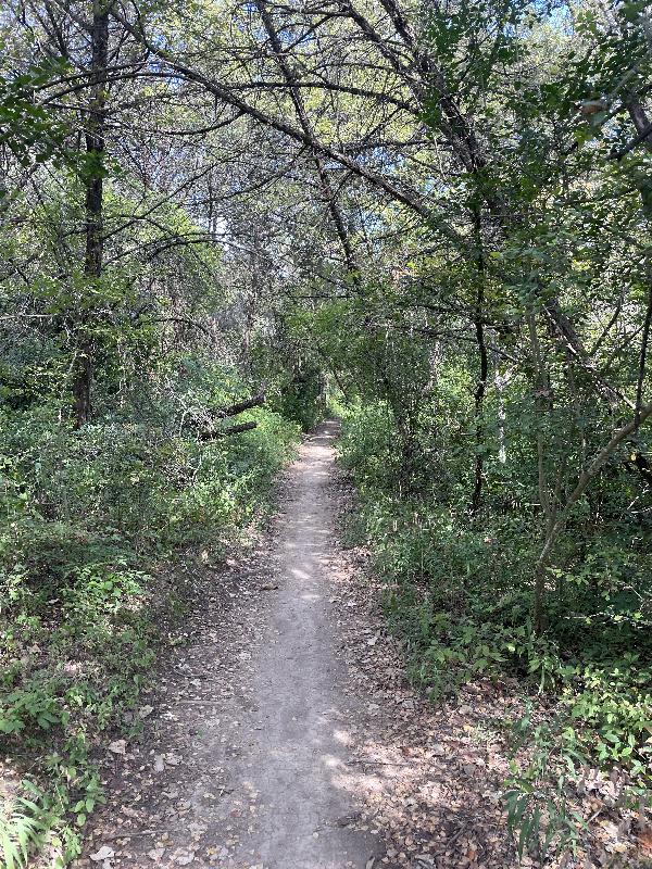 Out for a hike