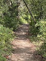 Out for a hike