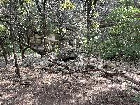 Out for a hike