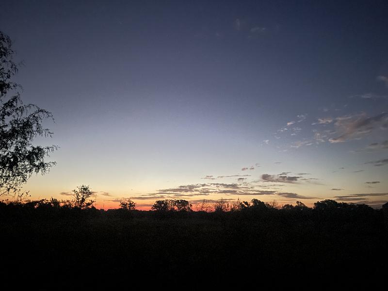 Sunrise 