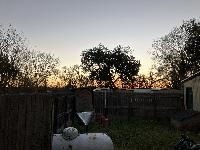 20250201-071419