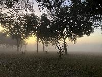 20250202-065820