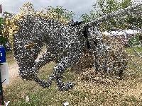 20250427-113134