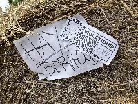 20250427-113348