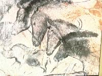 20250911-144843a (20250911-144843a.jpg)