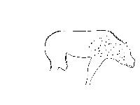 20250911-151011a (20250911-151011a.jpg)