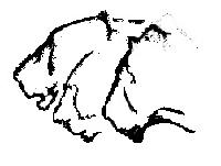 20250916-212155 (20250916-212155.jpg)