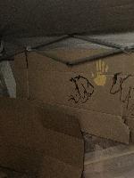 20250920-204859 (20250920-204859.jpg)