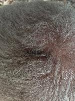 Three days later, healing up nicely.  (20250925-104901.jpg)