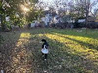 This is Winston, who lives next door. He LOVES Frisbees and sticks.