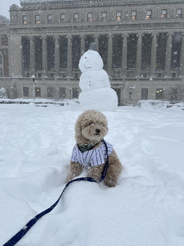 Louis in the blizzard 